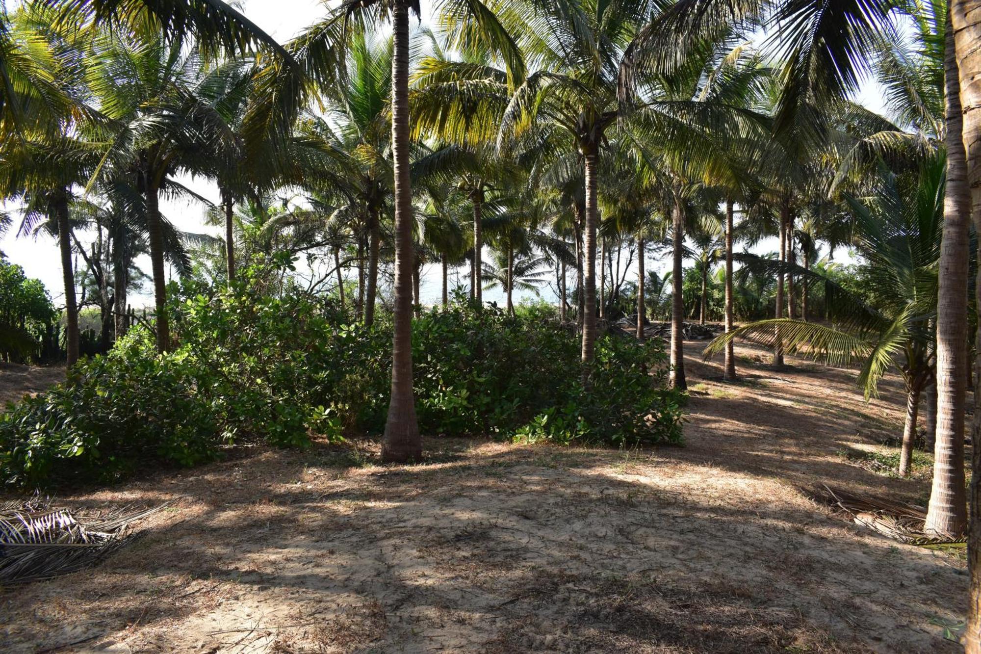 Sneh Beach Homestay - Wayangani Vengurla Esterno foto